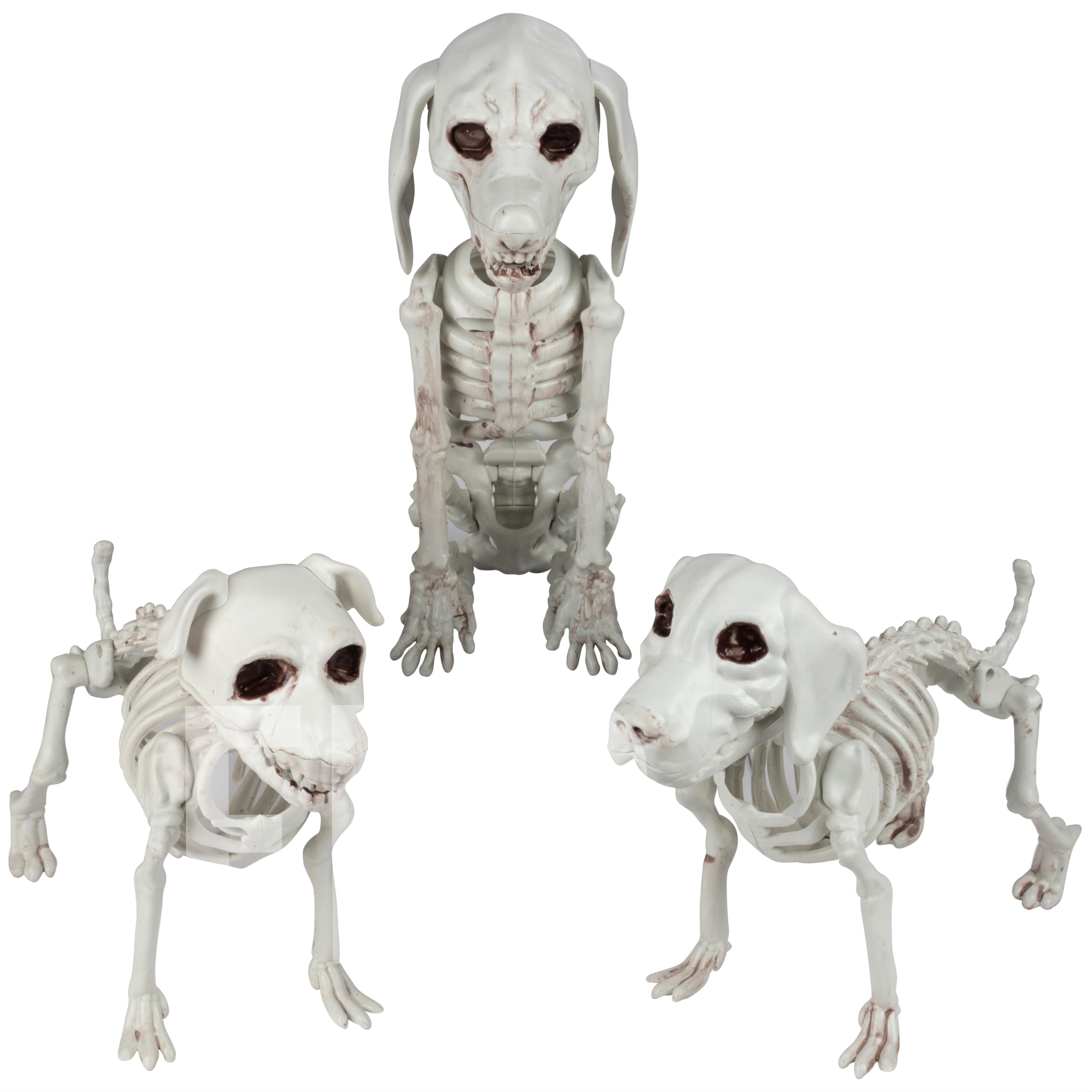 Squelette de chien d'Halloween : créez des souvenirs terrifiants en famille avec ce trio d'os