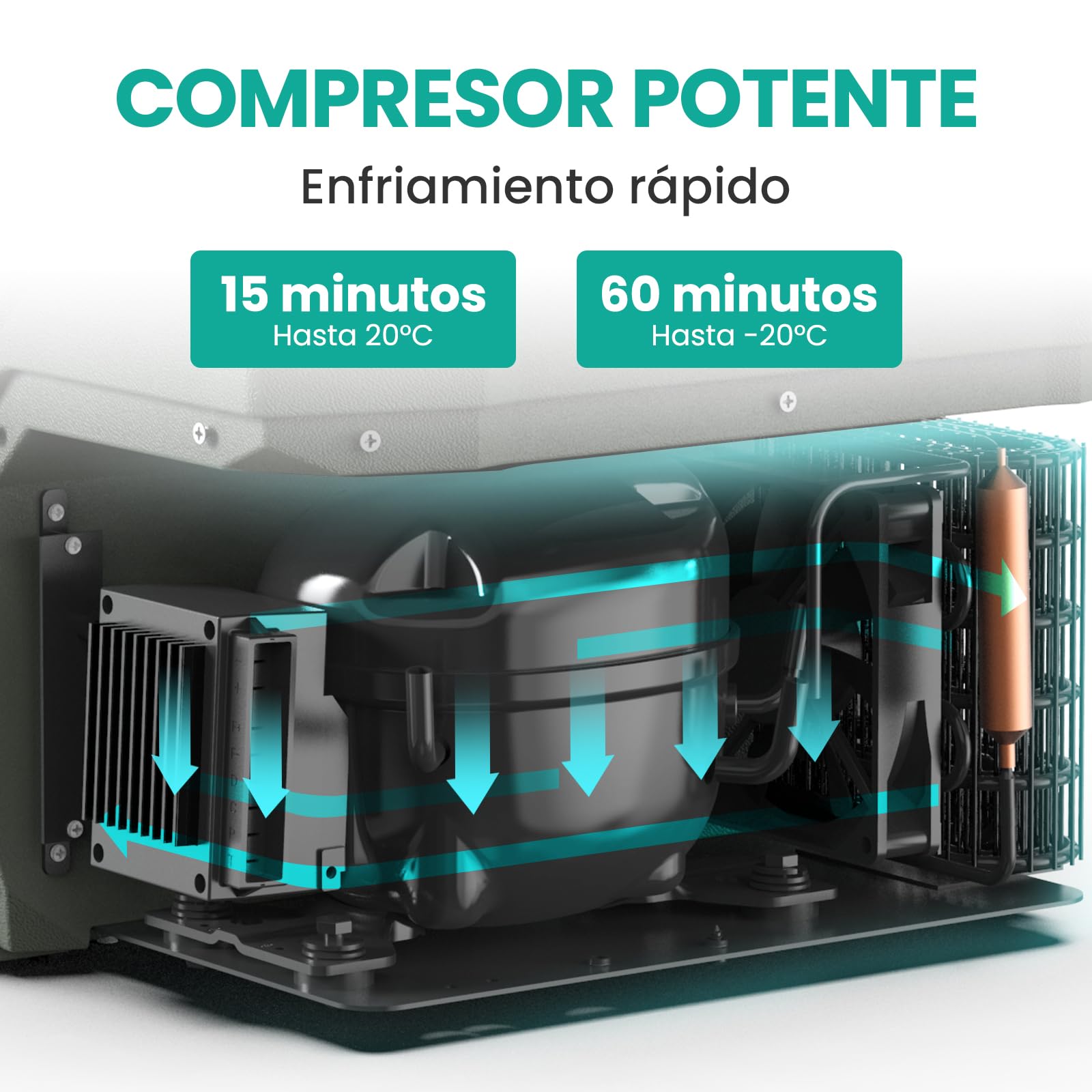 Alpicool KLS38 31L Nevera Portatil con Control de APP,2026 de Doble Zona Portátil Coche 12V /24V DC,-20℃ a 20℃, Nevera de Coche para Camping,Viajes,Automóvil,Bandeja de Hielo Incluida,Verde