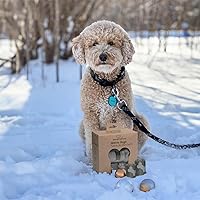 Vista 22 de Best Pet Supplies - Bolsas para limpieza de excremento de perro, rollo de repuesto, uso en exteriores, a prueba de fugas y desgarros, plástico