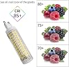 G9 LED Light Bulbs 10W Equivalent to 100W Halogen Cool White 6500k 1000 Lumen 220V-240V Energy Saving G9 Bi-Pin Base Bulb (Pack of 2) [Energy Class E]
