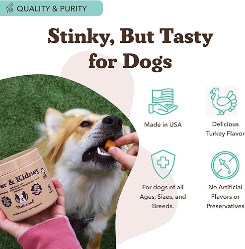 Miniatura 8 de Natural Dog Company Suplemento masticable para hígado y riñón apestoso, apoyo para el hígado de perro para una salud óptima, golosinas con sabor a