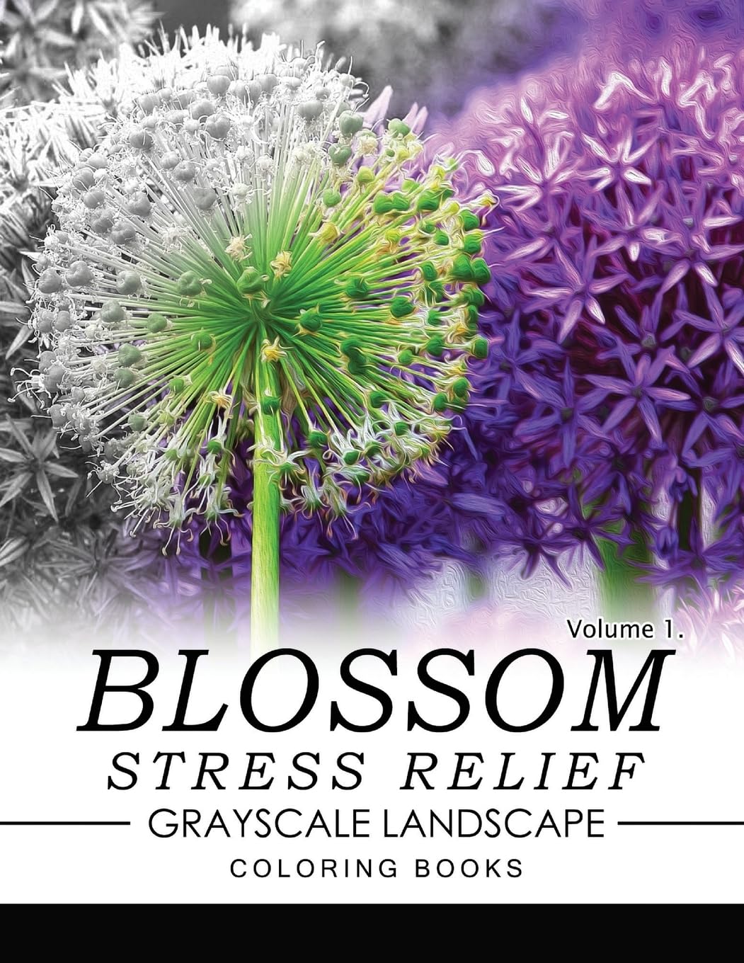 Blossom Stress Relief GRAYSCALE Landscape Coloring Books Volume 1 (Flower Stress Relief GRAYSCALE)