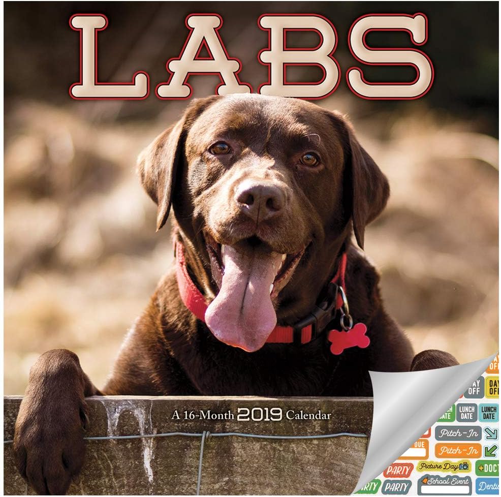 Labs Calendar 2019 Set - Deluxe 2019 Labrador Retriever Wall Calendar with Over 100 Calendar Stickers (Labs Office Decor and Supplies)