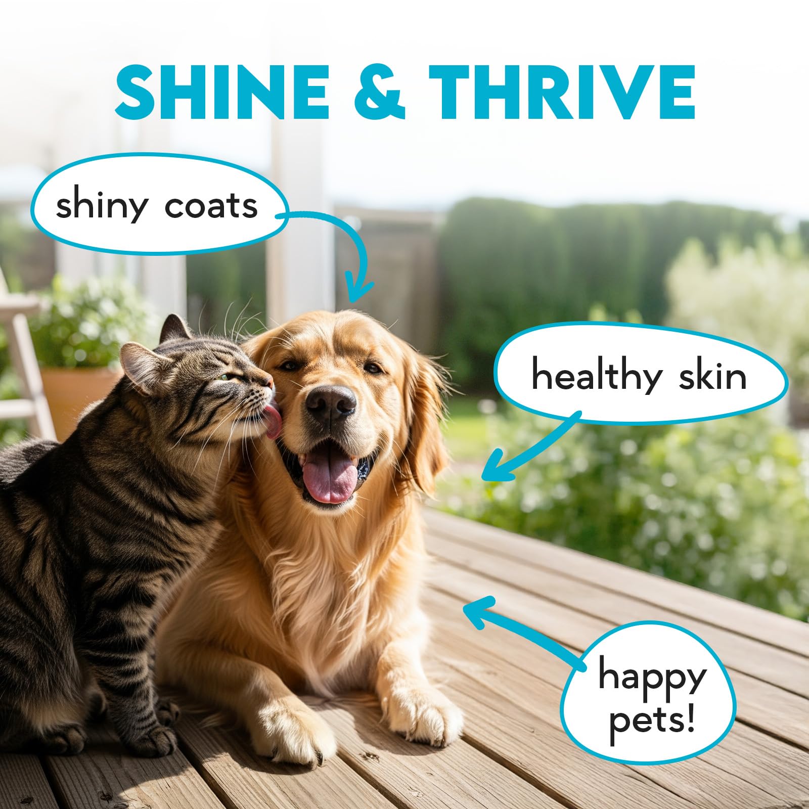 Omega 3 Chews for Dogs - 150Pcs - Dog Skin and Coat Supplement - Rich in EPA & DHA Fatty Acids - Itching Skin Relief Chews - Reduce Hair Shedding - Made with Fish Oil - Salmon