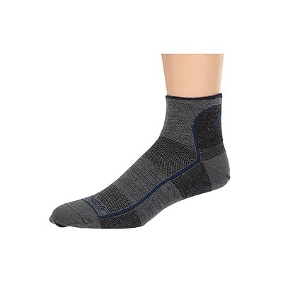 Darn Tough Vermont Merino Wool 1/4 Sock Mesh Men