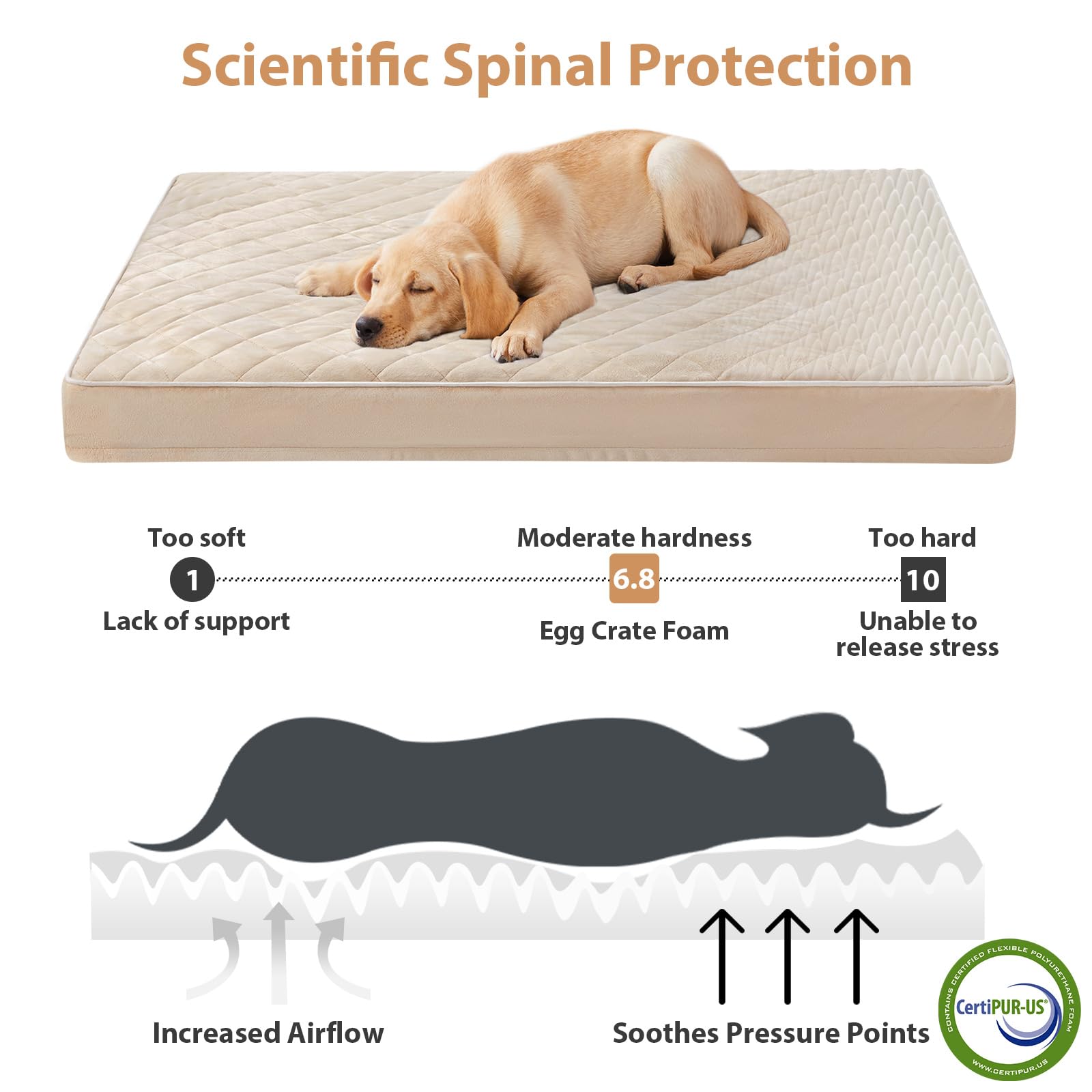 WNPETHOME Orthopedic Waterproof Large Sized Senior Dogs Bed for Comfy Sleep view 3