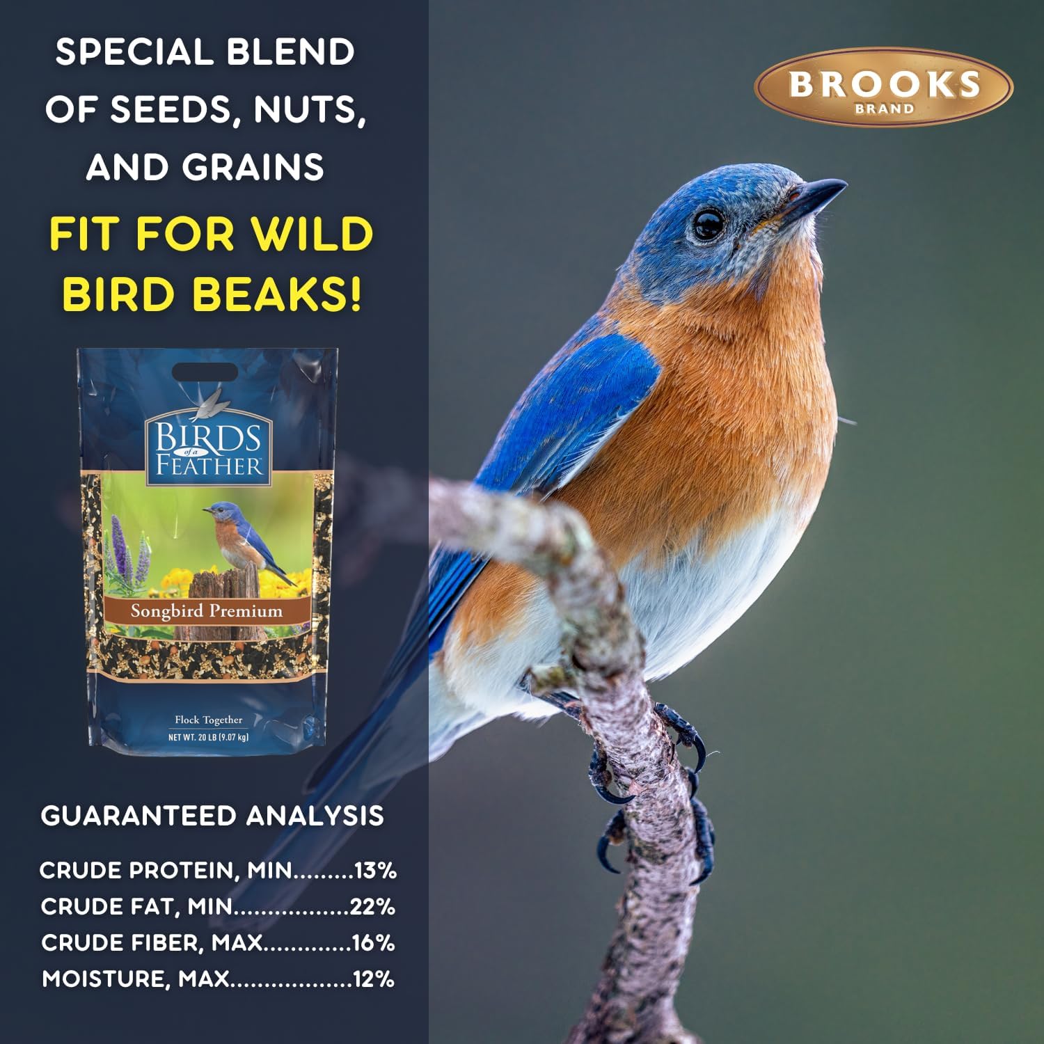 Birds of a Feather Songbird Premium, Songbird Bird Seed, Song-Bird Seeds for Outside Feeders, Small Birds Feed, Made in USA (20 Pound (Pack of 1))