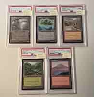 mtg APAC ランド PSA 5種セット (世界に3枚しか無い韓国など) Amazon.co.jp: mtg APAC ランド PSA 5種セット 世界に3枚しか