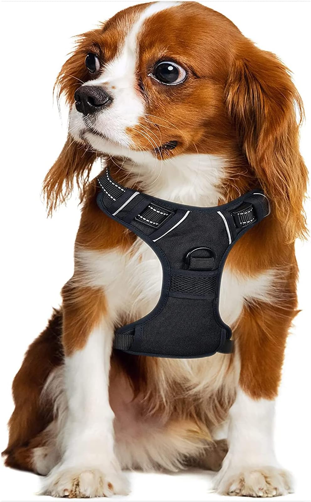 BOMEKS Dog Harness, Adjustable Pet Harnesses No Pull No-Choke Pet Vest Harness Easy Control Padded Handle for Small Medium Large Dogs, Black