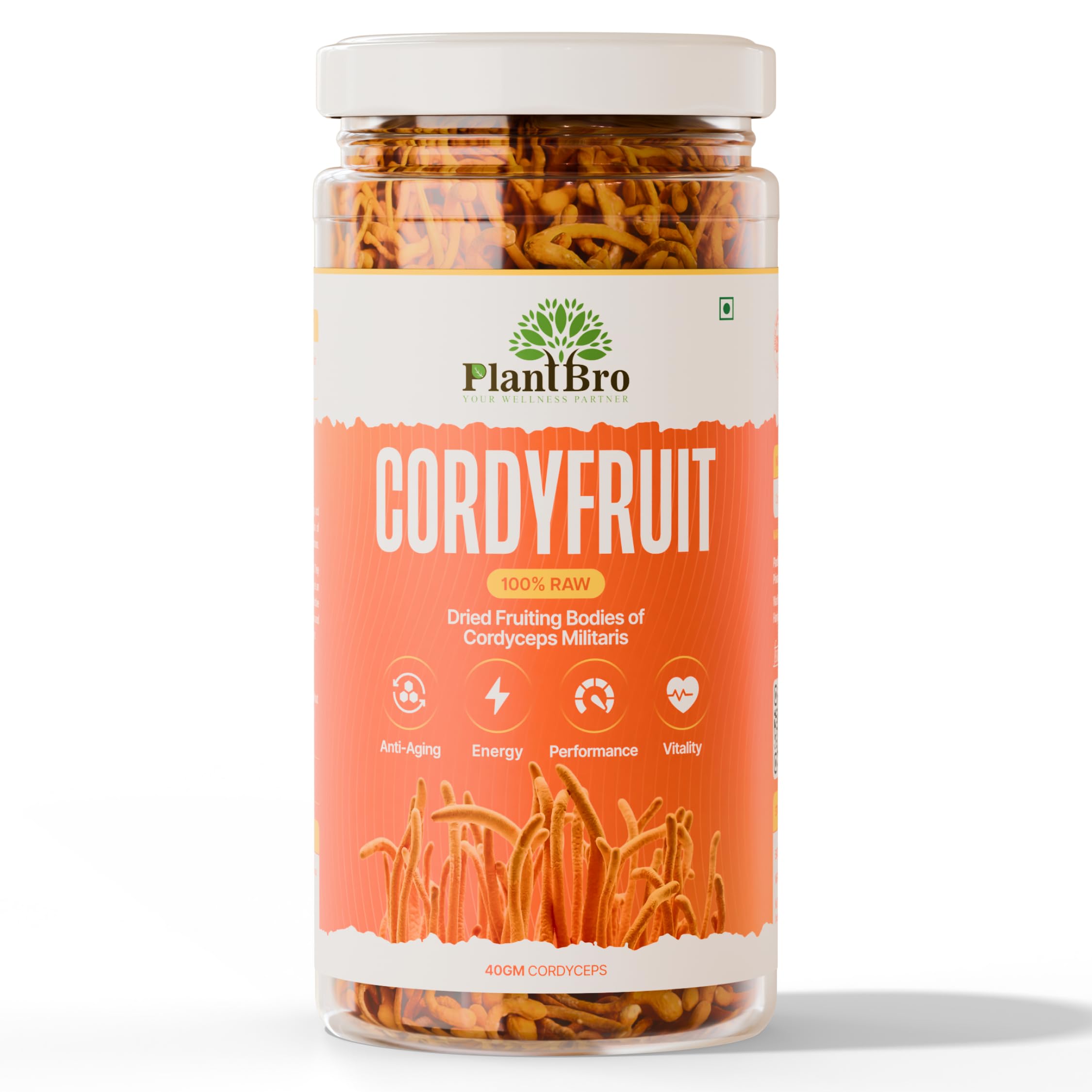 PlantBro CordyFruit – 100% Raw Cordyceps Militaris Fruit Bodies | Natural Energy & Stamina Booster | Immunity, Endurance & Vitality Support | No Fillers, Pure Mushroom Superfood – 30g