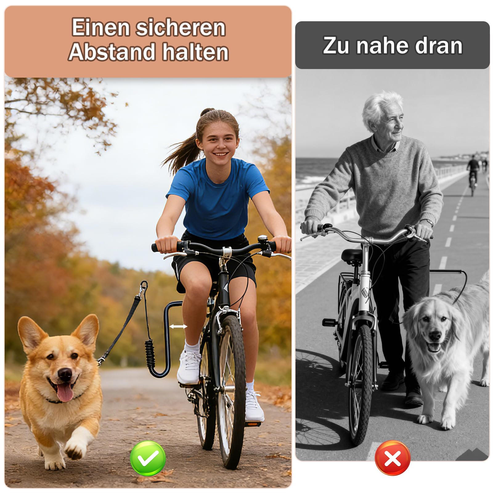 Laisse Velo Main Libre Chien, Attache Exercice pour Animaux de Compagnie pour Promener, Courir, Faire du Sport