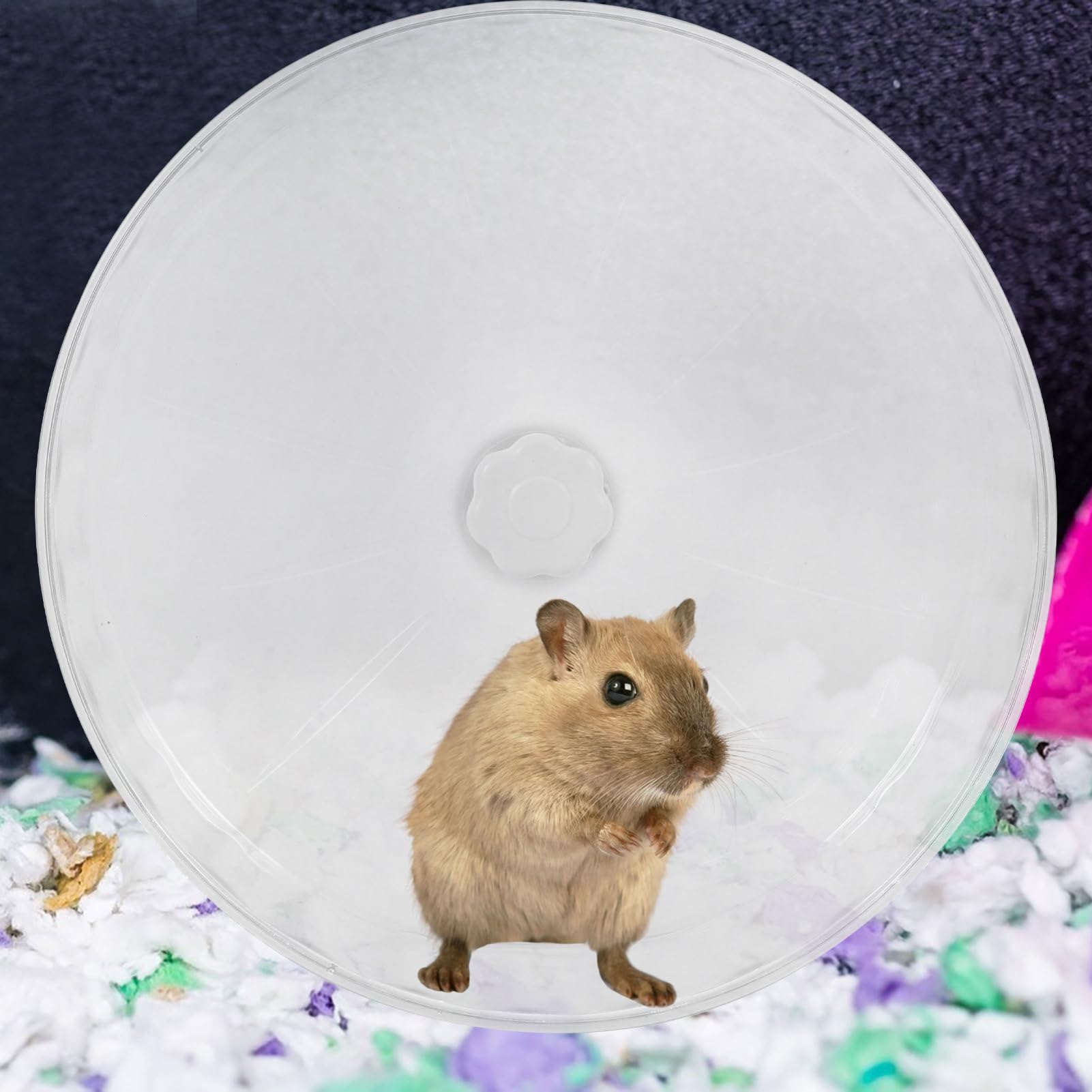 TOYANDONA Geräuschloses Laufrad Multifunktional für Hamster und Meerschweinchen aus Kunststoff Leicht zu Reinigen für Täglichen Gebrauch