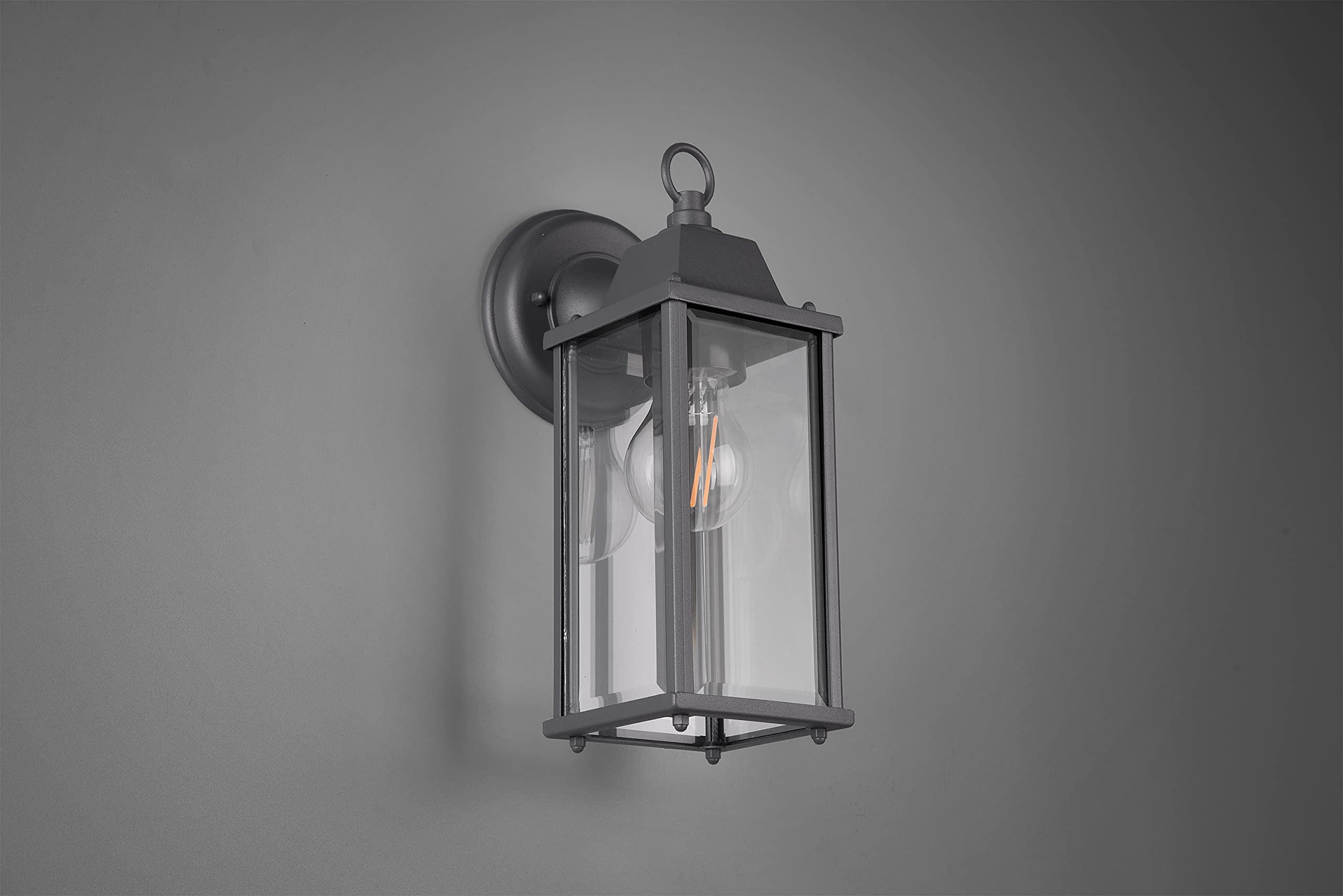 Trio Leuchten Zewnętrzna lampa ścienna Olona 201960142, aluminiowy odlew ciśnieniowy rdzawy, szkło przezroczyste, bez 1 x E27, antracyt