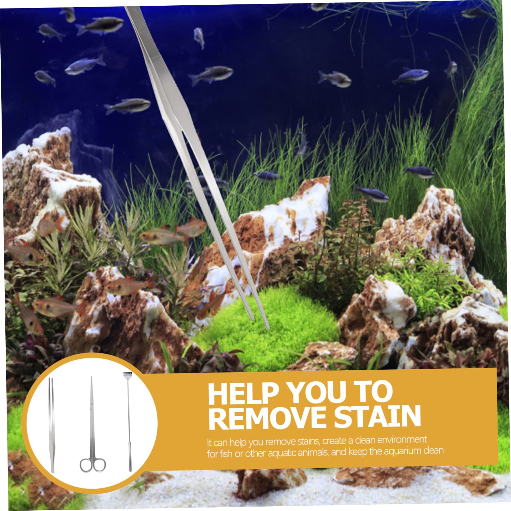 Kompakter Schaber Satz für Aquarium Reinigung, 1 Satz Metall Silber | Schere und Zubehör, für Fischbecken und Aquarien, Wartungswerkzeug im Praktischen Satz