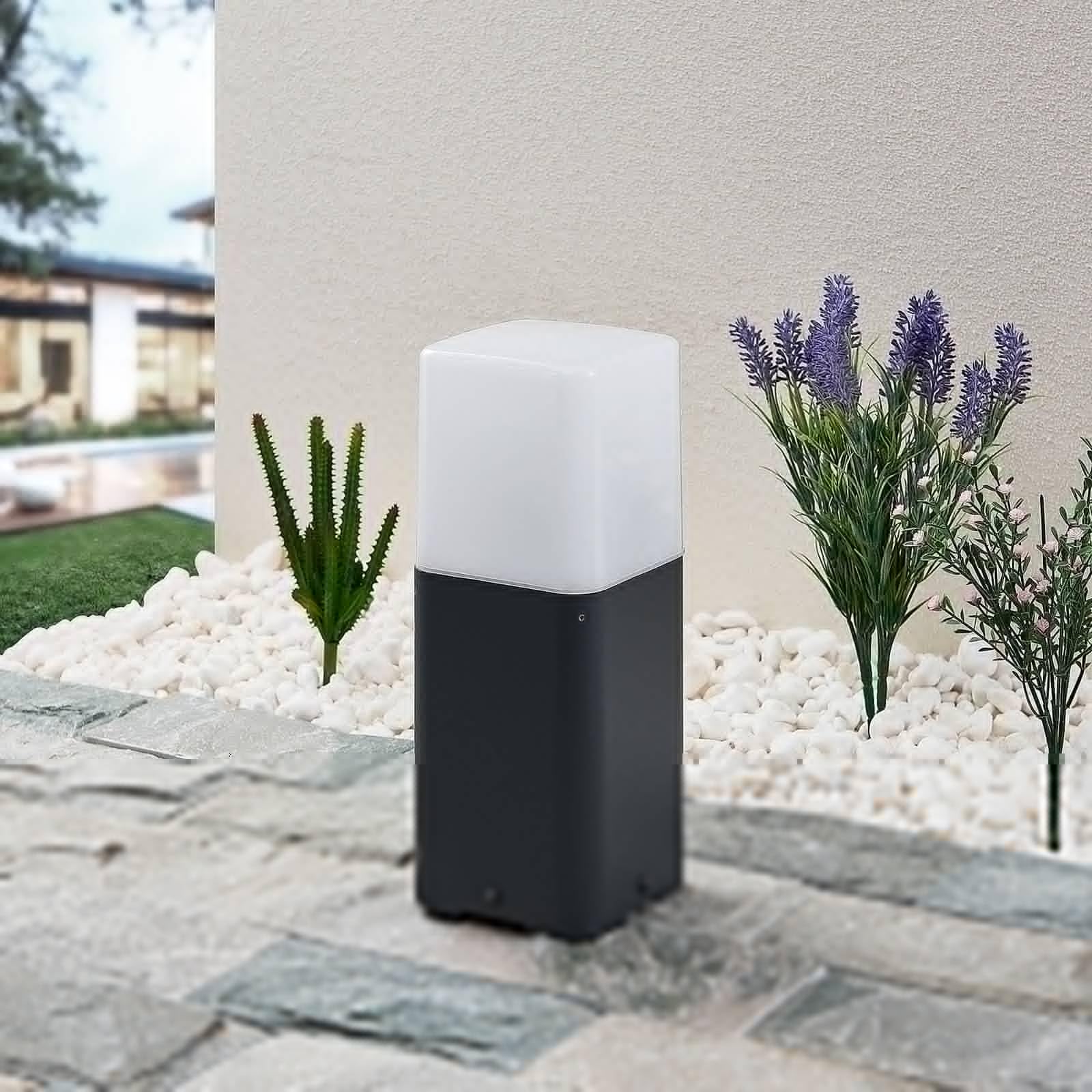 View 4