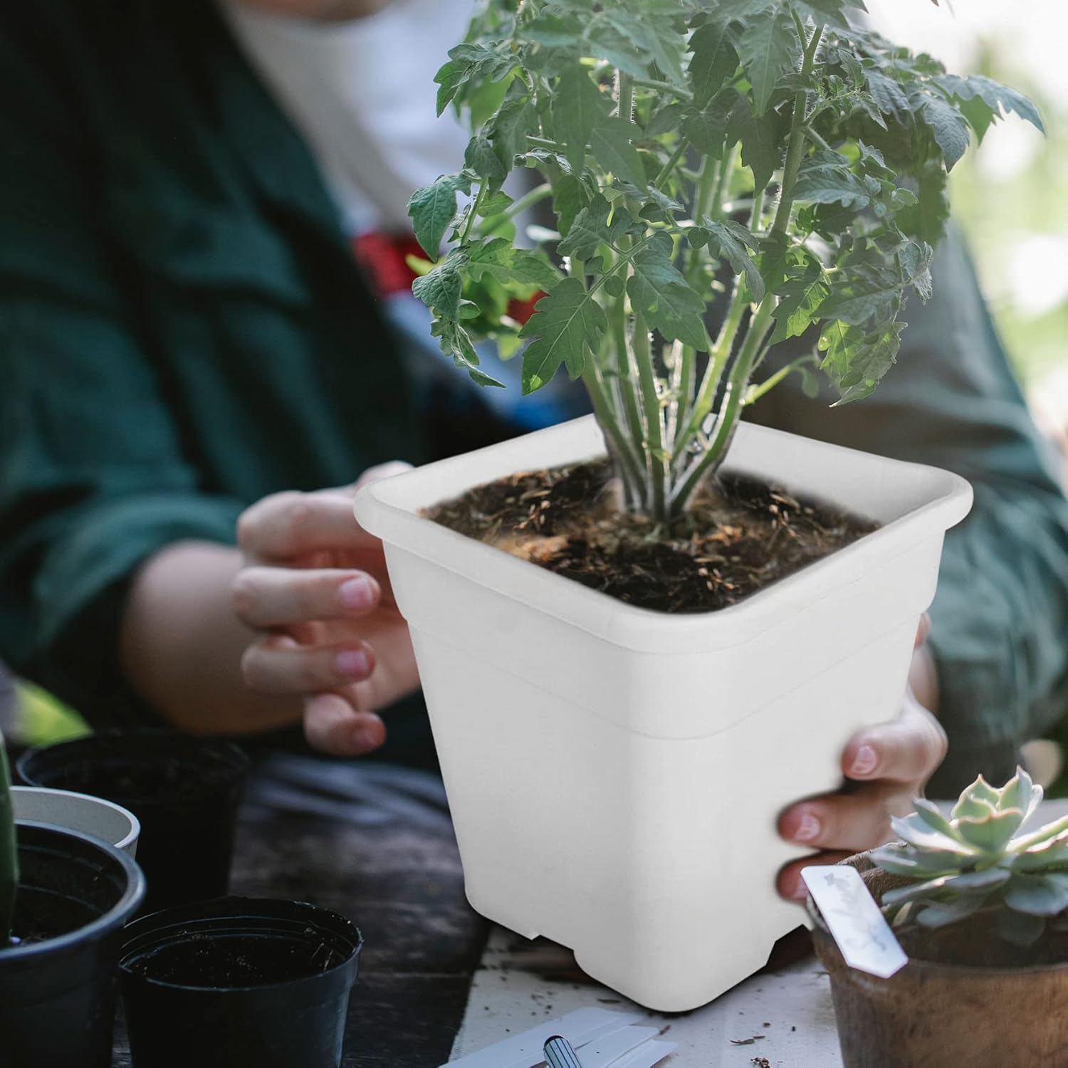 waltyotur 10PCS 5 Gallon Square Durable Planter Nursery Pots, Injection Molded Plastic Plant Container Garden Planter Pots for Indoor Outdoor Plants Flower Vegetables, White