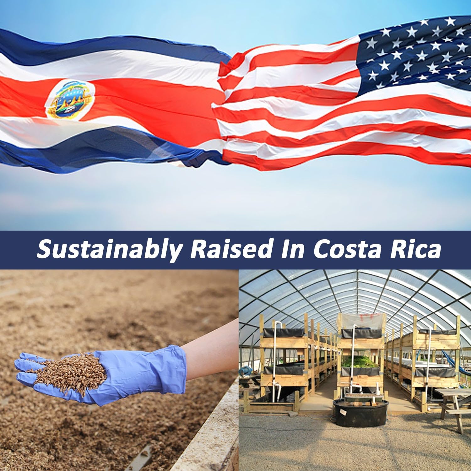 Exotic Nutrition 40 LB Grub-Worms Chicken Feed | Grown in Americas | Better Than Mealworms | Dried Black Soldier Fly Larvae BSF