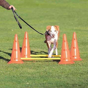 Amazon Allforwan ｓlife ドイツtrixie ドッグアクティビティアジリティハードルセット 4 Pylons 2 Poles Trixie 犬用アジリティ 運動器具 通販