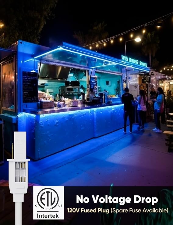 33FT Blue LED Neon Rope Lights, ETL Listed 110-120V Outdoor Flexible Neon Strip IP65 Waterproof, Connectable and Cuttable, for Bar Pub Game Room Home Commercial Festival Ambient Lighting Decor