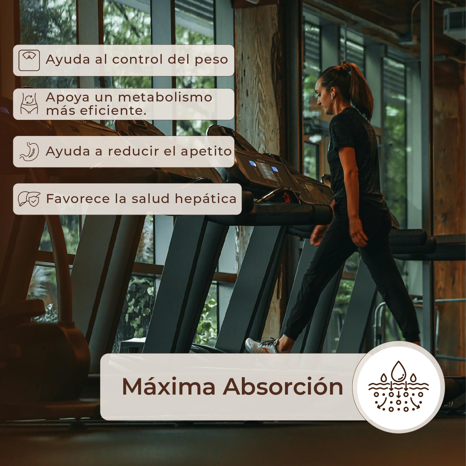 KobhoGLP Control del apetito y metabolismo con berberina, espirulina y L-carnitina, Protocolo saciante sin rebote, 90 cápsulas + 30 viales, Vegano, alta biodisponibilidad