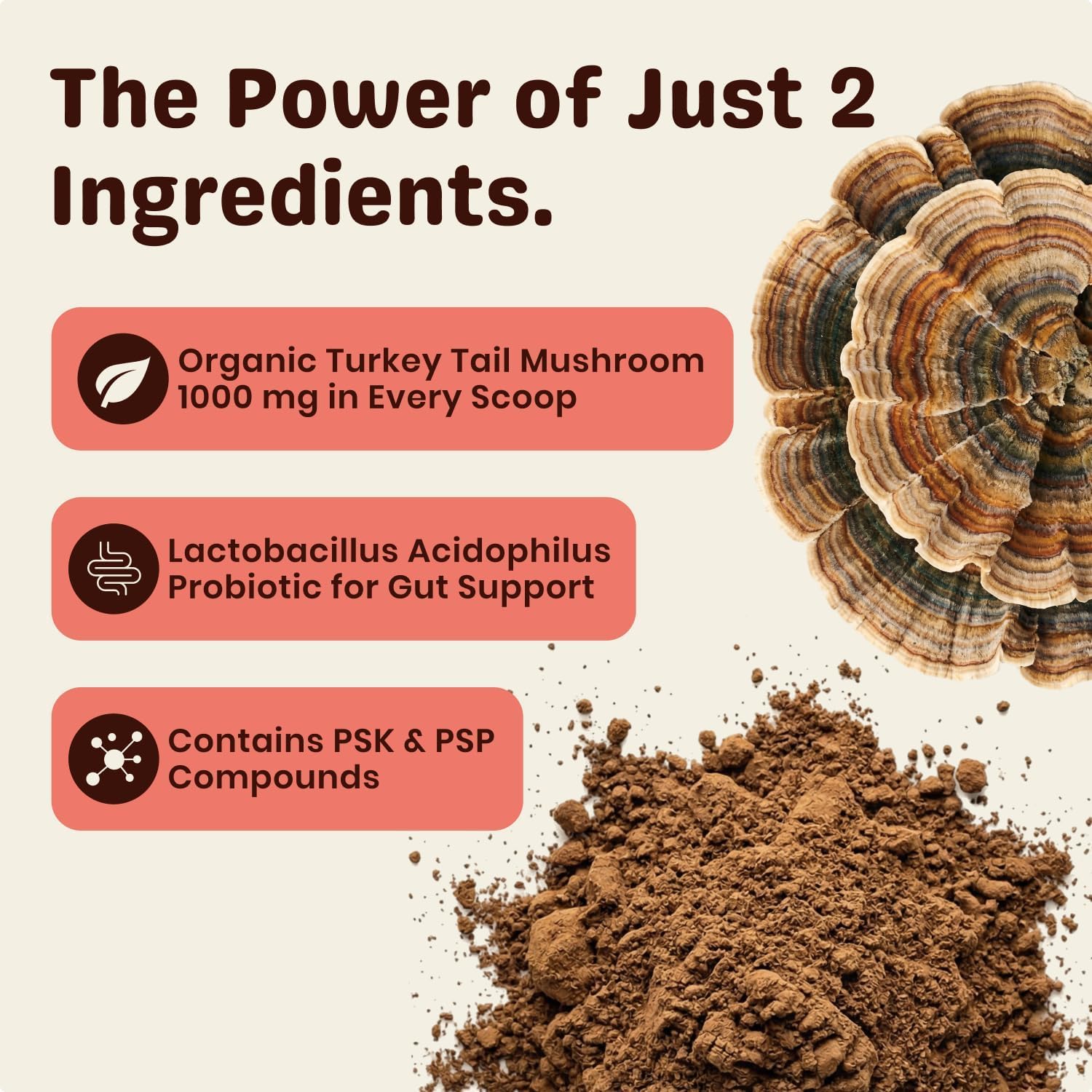 Turkey Tail Hund,Turkey Tail Mushroom Für Hunde, Nahrungsergänzung Für Hunde, Darmgesundheit, ImmunitäT & Vitalität,Unterstützt Die Verdauung,Für Die TäGliche Fütterung Alle Hunderassen (1PCS)