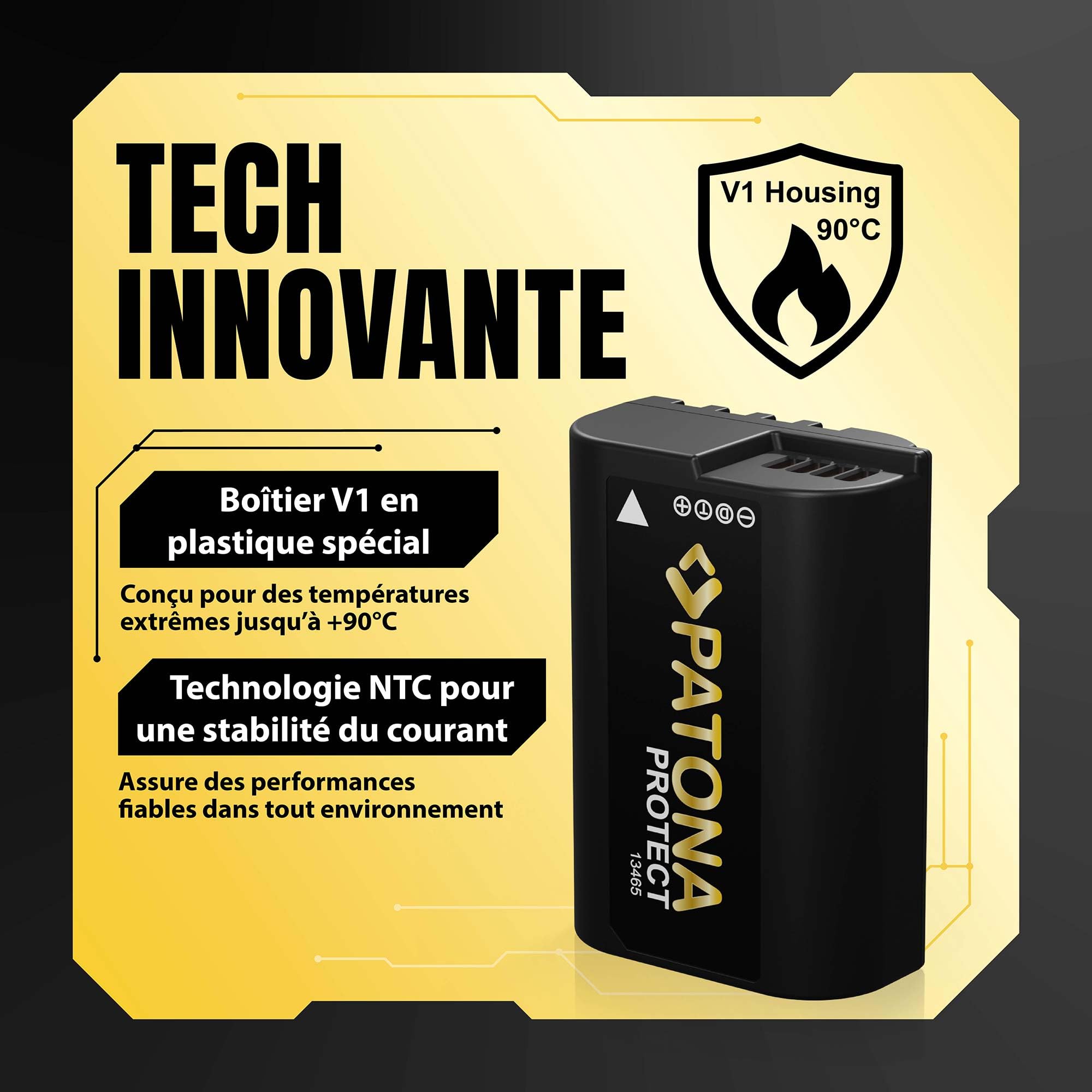 PATONA 2X Protect Batterie pour Panasonic DMW-BLK22 2600mAh