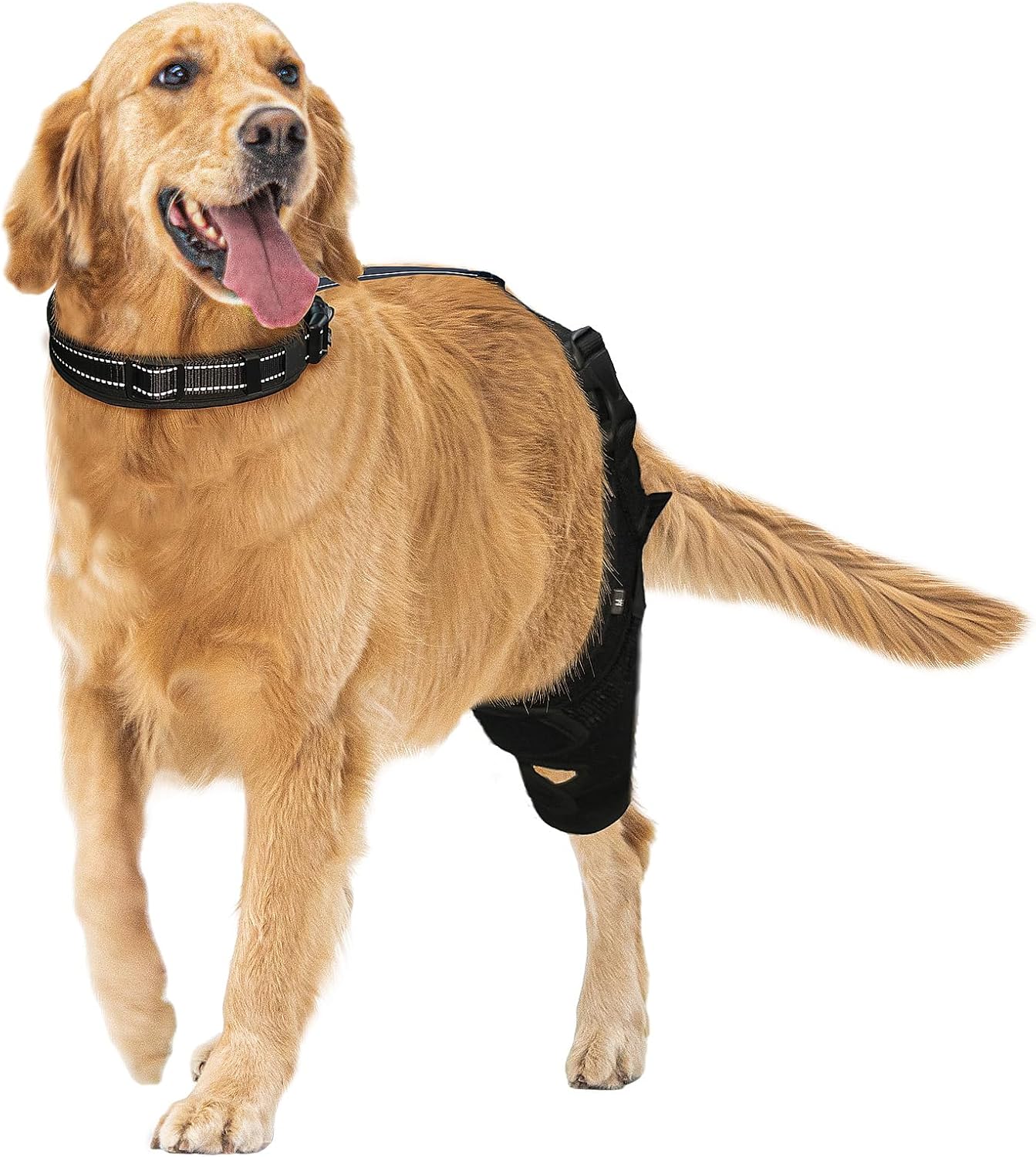 CAMRIER Dog Knee Brace for Support with Cruciate Ligament Injury, Joint Pain and