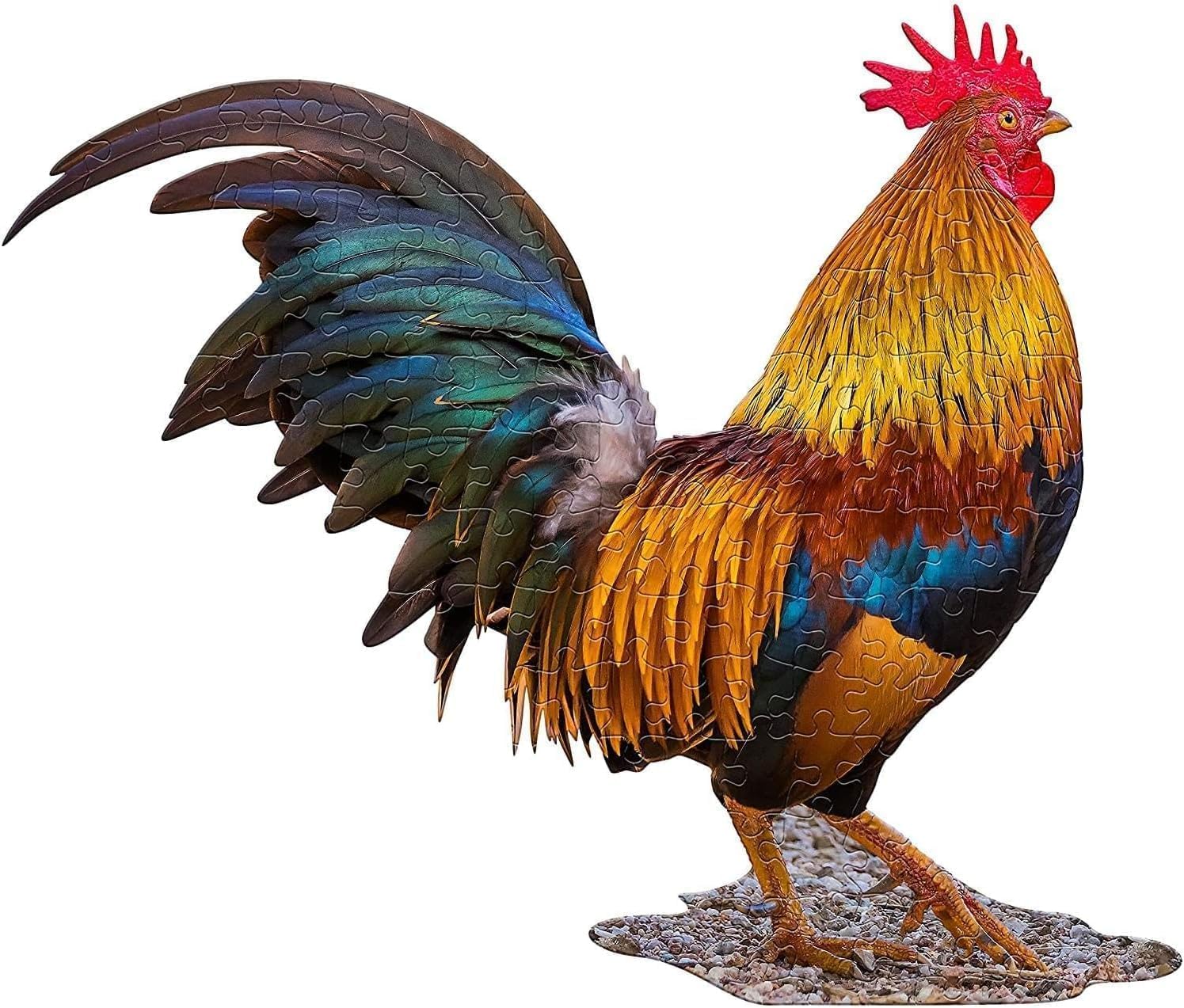 Madd Capp LiL' ROOSTER 100 Piece Jigsaw Puzzle For Ages 5+ - 4012 - Unique Animal-Shaped Border, Poster Size when completed, Oversized Puzzle Pieces For Easy Handling, Includes Educational Fun Facts