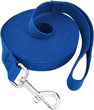 TAIDA 20ft 30ft 40ft 50ft Nylon Long Training Dog Leash for Small Medium Large Dogs, Long leashes Dog/Puppy Lead for Obedience Recall Training, Camping, or Backyard, 1 inch Wide 20 Foot, Blue