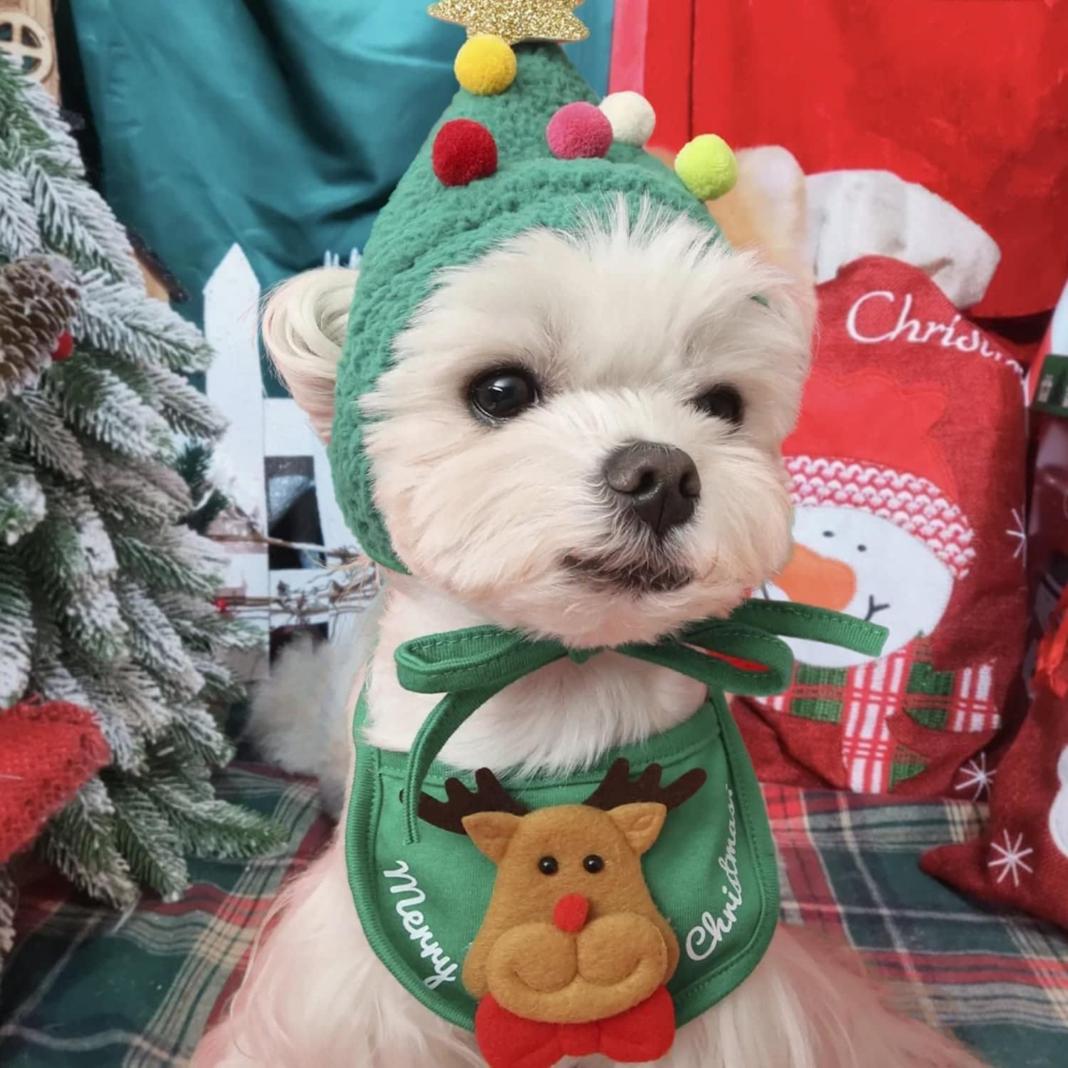 Jorunb2 Pcs Christmas Dog Pet Costume, 1 Christmas Tree Hat,Small Dog Headgear,1 Adjustable Collars Bib,Santa Elf Cat Bib for Xmas Dog 4-7KG Cat Christmas Party Dressup (Green, M)
