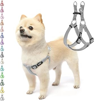 PUPTECK No Pull Dog Harness Small Sized Step-in Adjustable Puppy Vest | Soft Webbing Basic Halter with ID Tag for Outdoor Walking