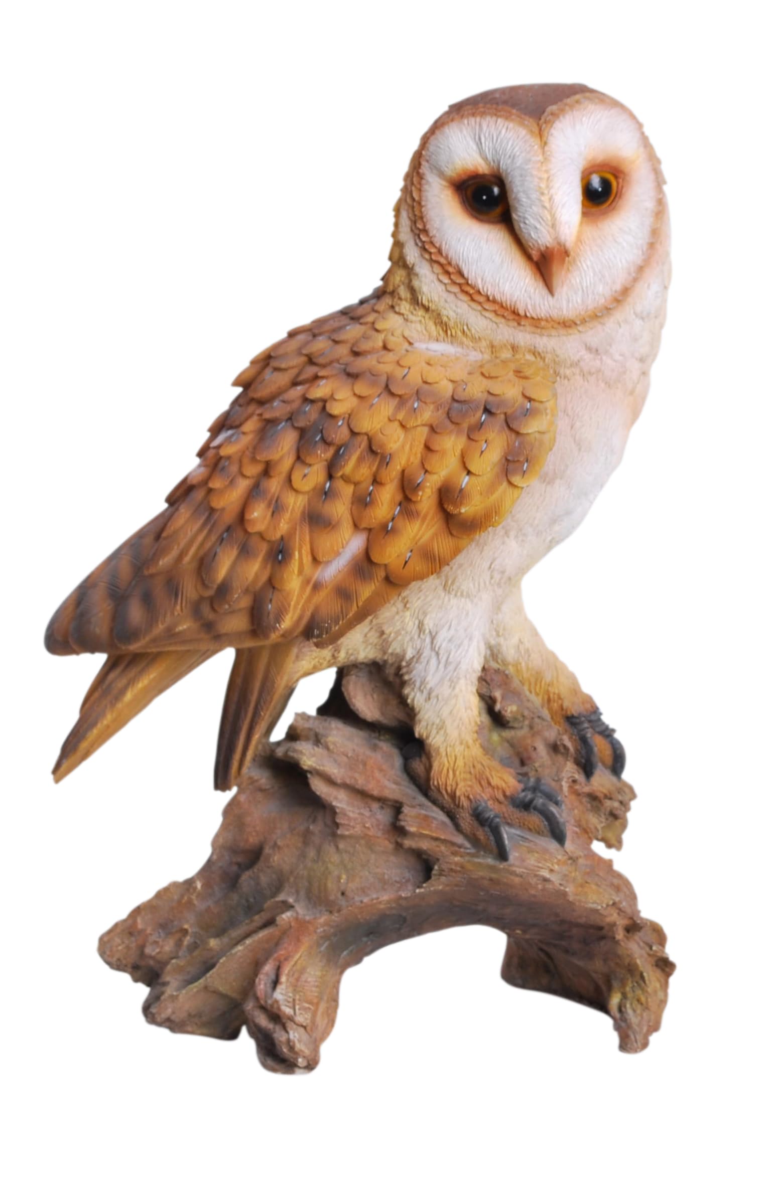 Vivid Arts - Barn Owl Realistic Sculpture, Garden Ornament, Outdoor Decor (Barn Owl - Medium)