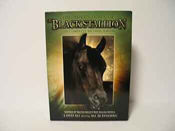 (未使用･未開封品)Adventures of Black Stallion: First Season [DVD] Adventures of the Black Stallion: Season 1, Vol. 1 [DVD