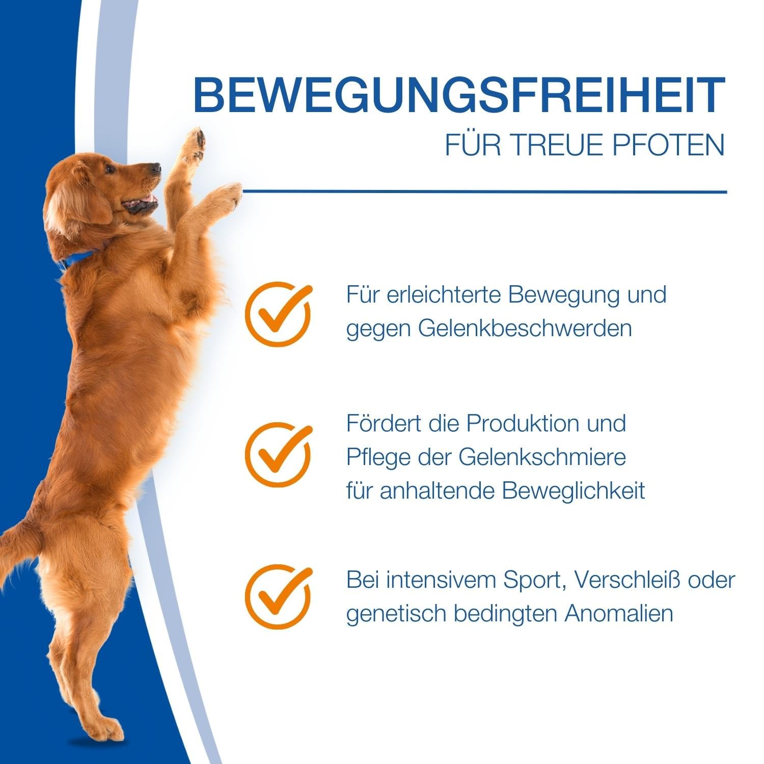 NutriLabs Canicox-HD Gelenktabletten für Hunde zur Unterstützung bei Gelenksproblemen mit Glucosamin, Chondroitin & Acid Protect Hund Magenkräuter Kautabletten zur Unterstützung