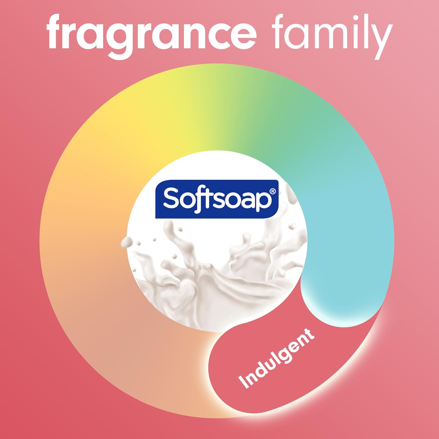 Softsoap Body Wash, Coconut Butter Scrub , Exfoliating Body Wash, 20 Ounce, 4 Pack