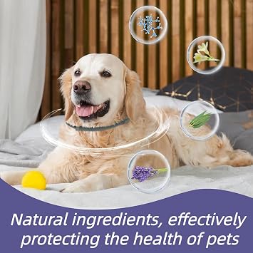 2PCS Dog Col/lar,Adjustable Repellent Col/lars,Flea and Tick Treatment,Long-Lasting Protection and Non-Irritating to Pets,Material Safety,Easily Adjust Size,Waterproof and Suitable for Most,Gray