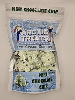 Mint Chocolate Chip Ice Cream Scoops *EXTREMELY DELICIOUS* 4oz