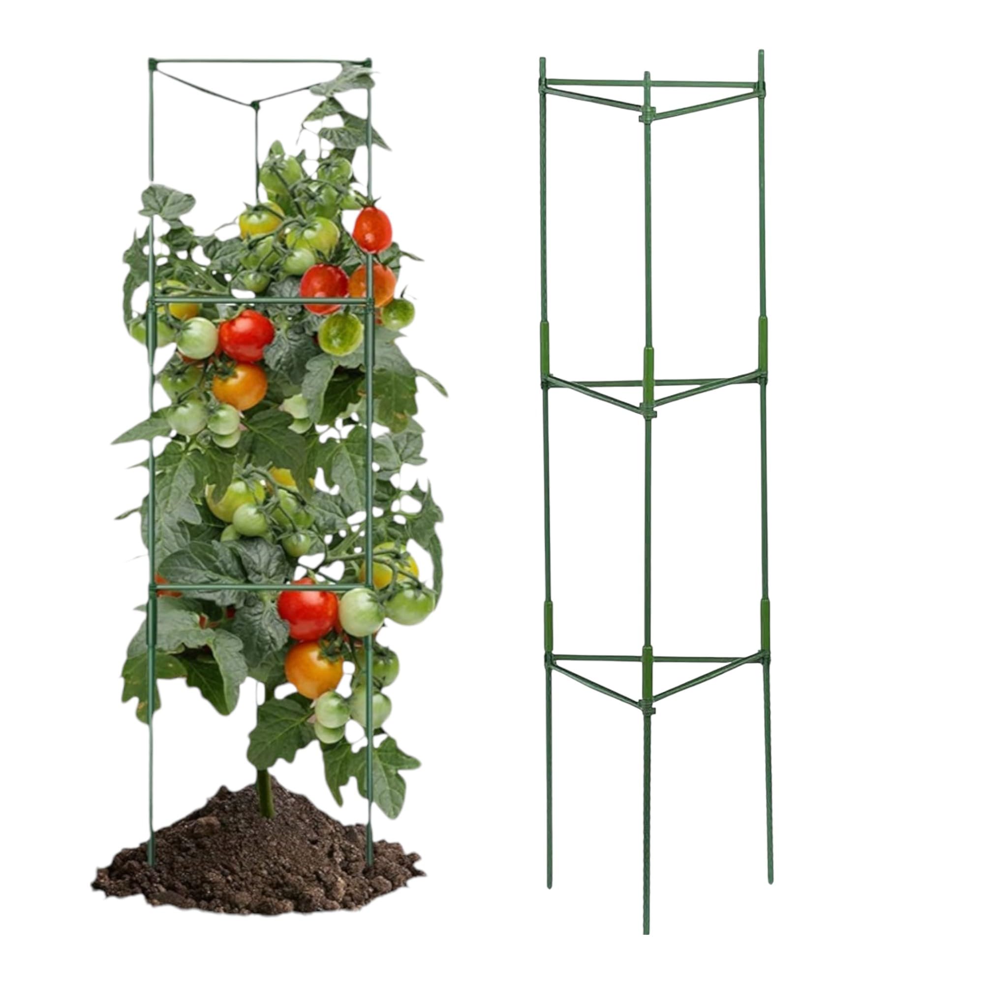 Garden Art Pack of 2 Tomato Cage 150 cm Tall | Plant Support, Cages, Stakes, Trelli for Climbing Plants,Creepers, Flowers, Fruits, Vine GATS-5 (Pack of 2) (B09F8HYHZP) Amazon Price History, Amazon Price Tracker