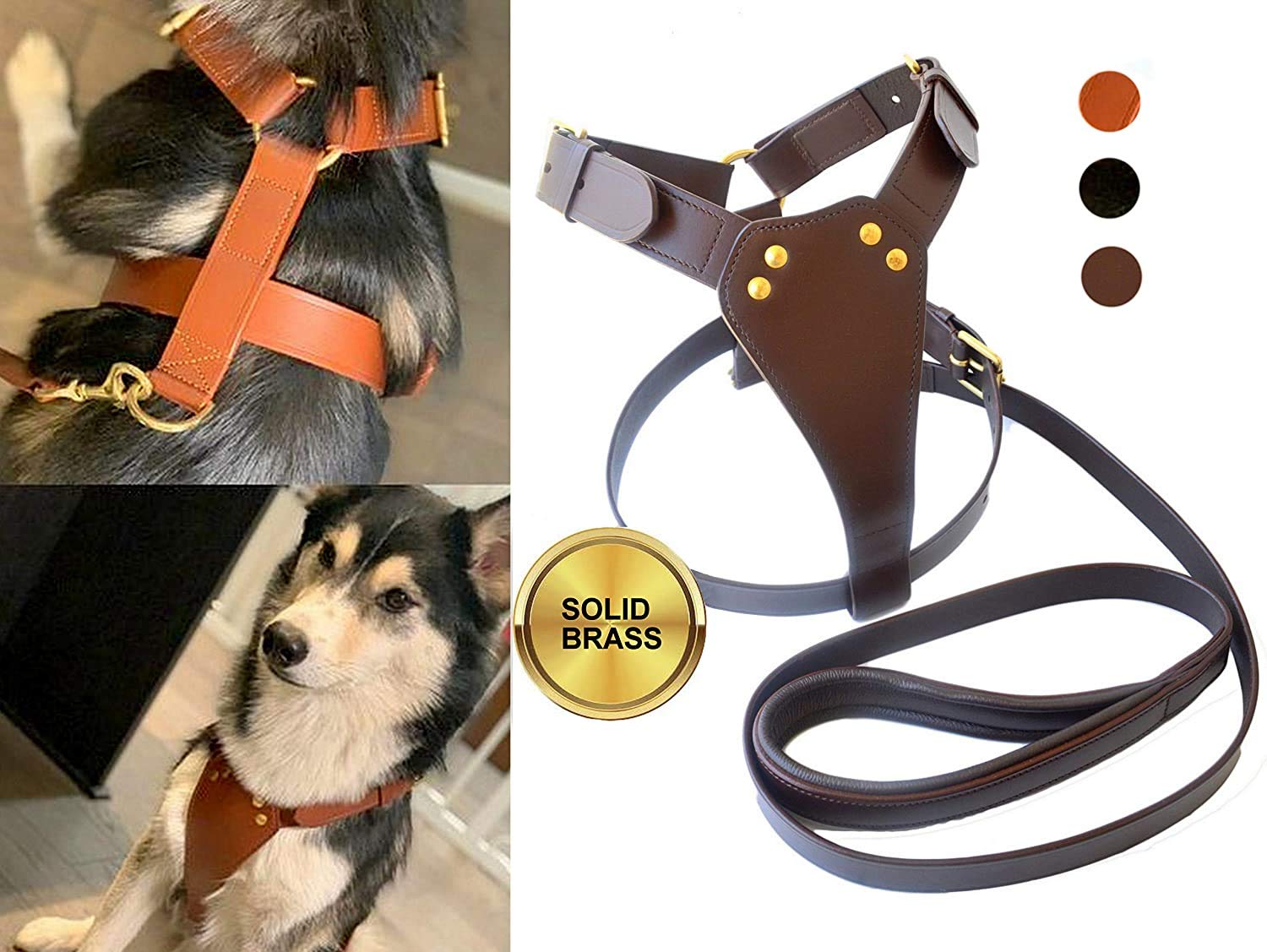 TUGBY - Set di pettorina in pelle per cani con guinzaglio abbinato (nero, XL)