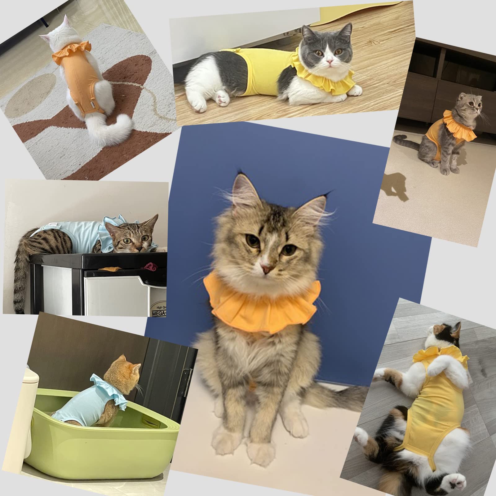 Cat Recovery Suit Female Professional Cloth For Abdominal Wounds Cat Onesie For Cats After Surgery Post Surgery Suit,Cats Cone Alternative For Kitten(C SHF01 Orange M