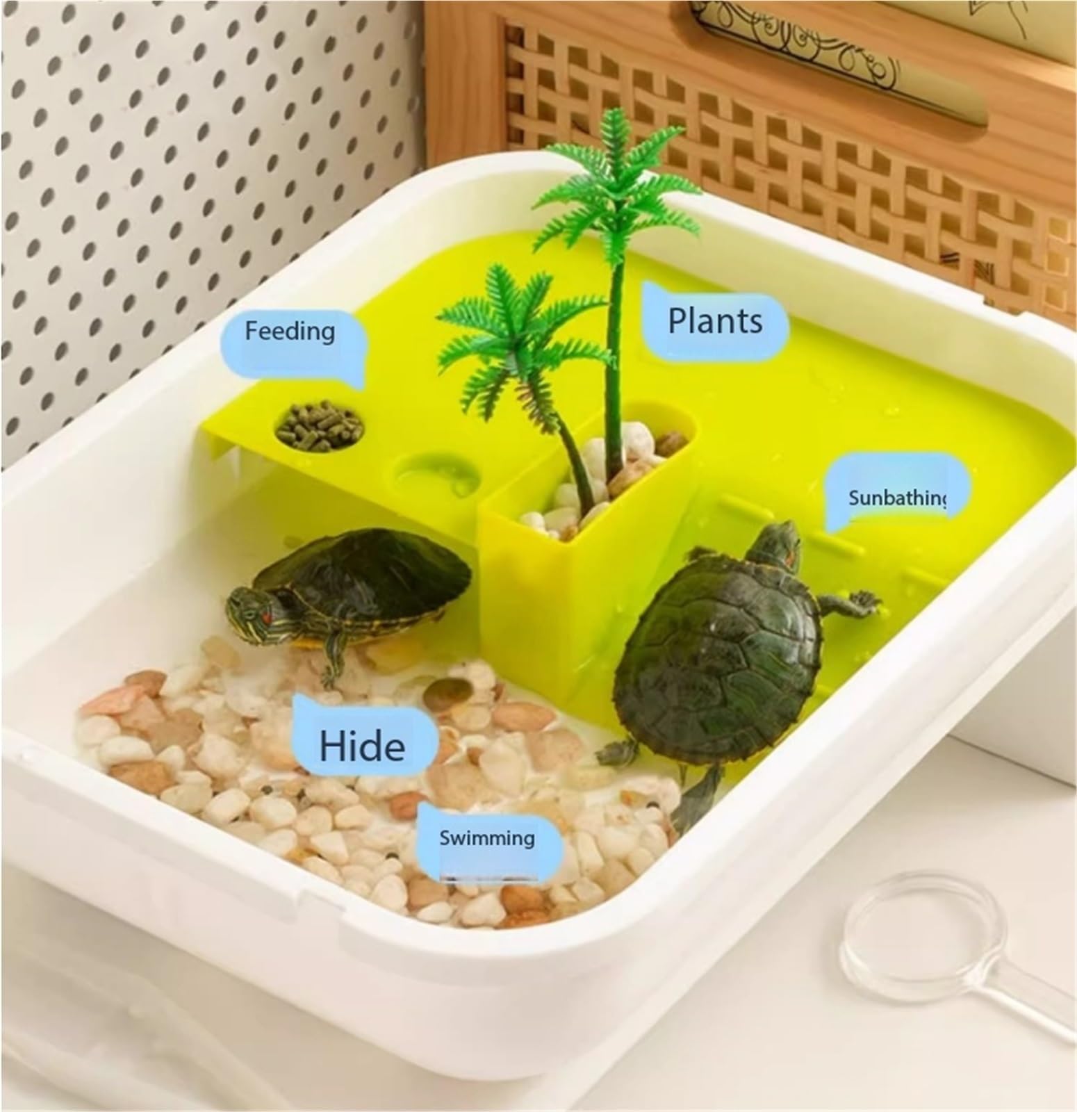 la Caja de alimentación de Reptiles, Comedero de observación for eclosión Tender Green 27x20,5x16cm