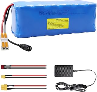 KBT 36V 5Ah Rechargeable LiFePO4 Battery Pack with Charger, Charging Cable, Cable Connector, Build-in 10A BMS