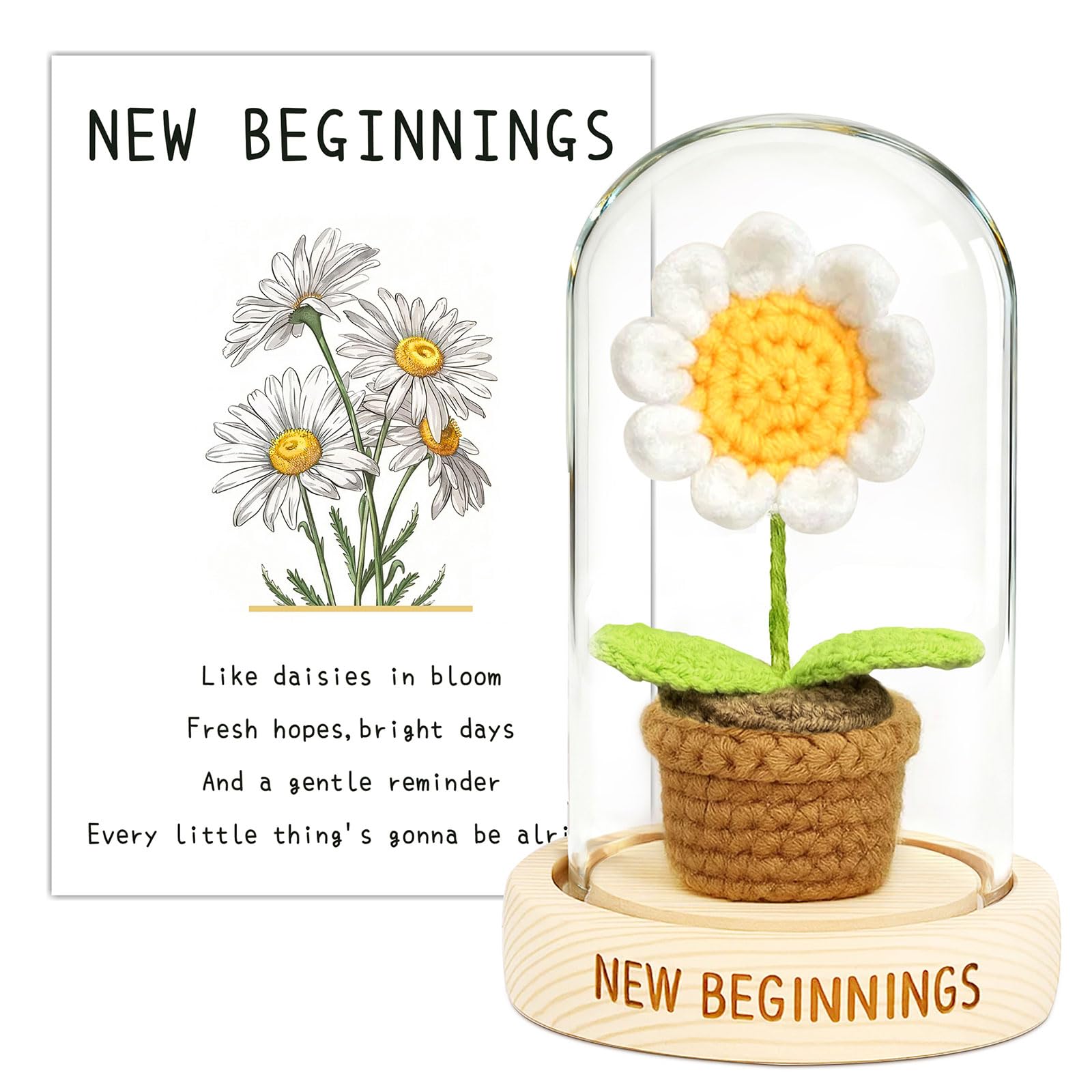 MerriBox New Beginnings Gifts for Women – Crochet Daisy in Glass Dome | Leaving Gifts for Colleagues, Retirement Gift, New Home Gifts, Good Luck Gift for Coworkers Friends Sister Mom — image 1