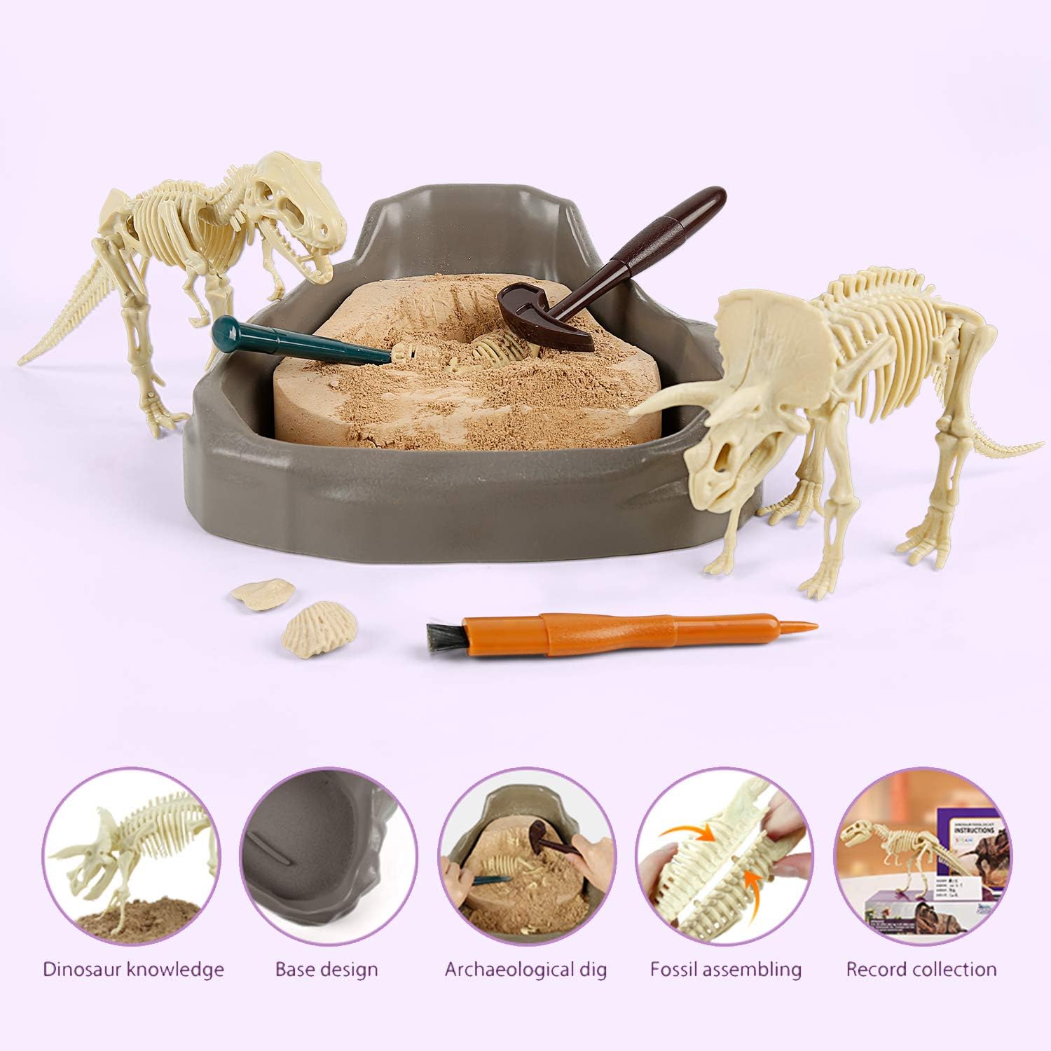 Science Can Dinosaur Digging Fossil Kit for Kids, Dinosaur Bones Excavation Kit, Science STEM Activities for Kids Dinosaur Toys for 8 Year Old Boys and Girls Gifts