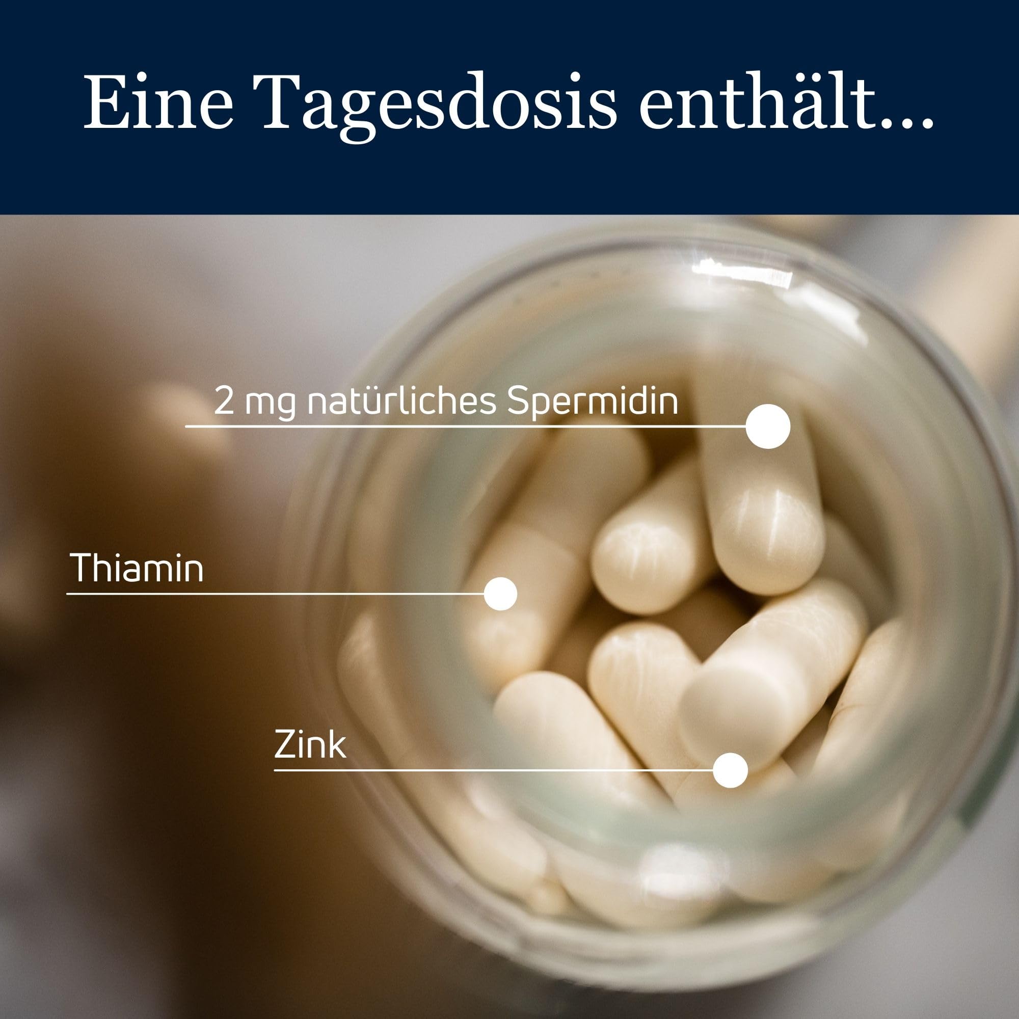 spermidineLIFE Originale 365+ 2 mg di spermidina da CelVio Estratto di germe di grano con zinco e vitamina B1 – Capsule vegane per il supporto quotidiano del rinnovamento cellulare e dell'autofagia