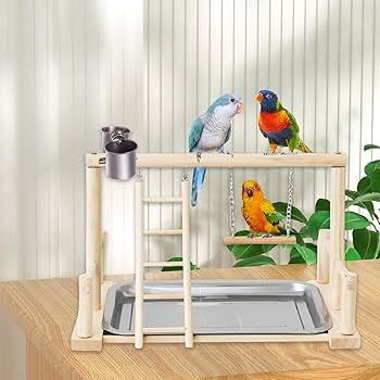 9326s】ことりのおおきなあそびば 9326s】ことりのおおきなあそびば