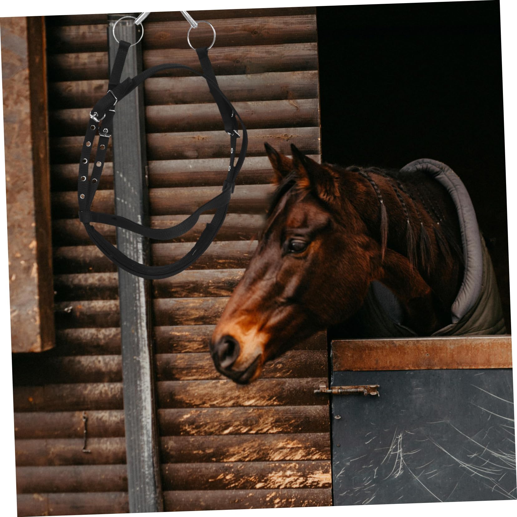 Redini Equestri Corda per Corda da Tiro Briglia da Addestramento Briglie in Corda per Addestramento Accessori per Stalle Accessori per Addestramento