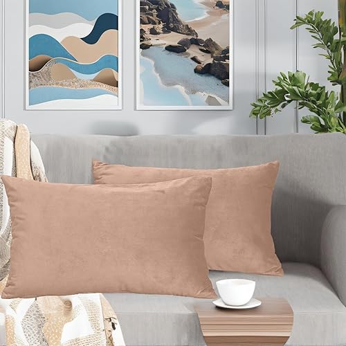 FULDGAENR Juego de 2 fundas de almohada de terciopelo de 12 x 20 pulgadas para sofá, fundas de almohada decorativas beige acogedoras para lumbar de