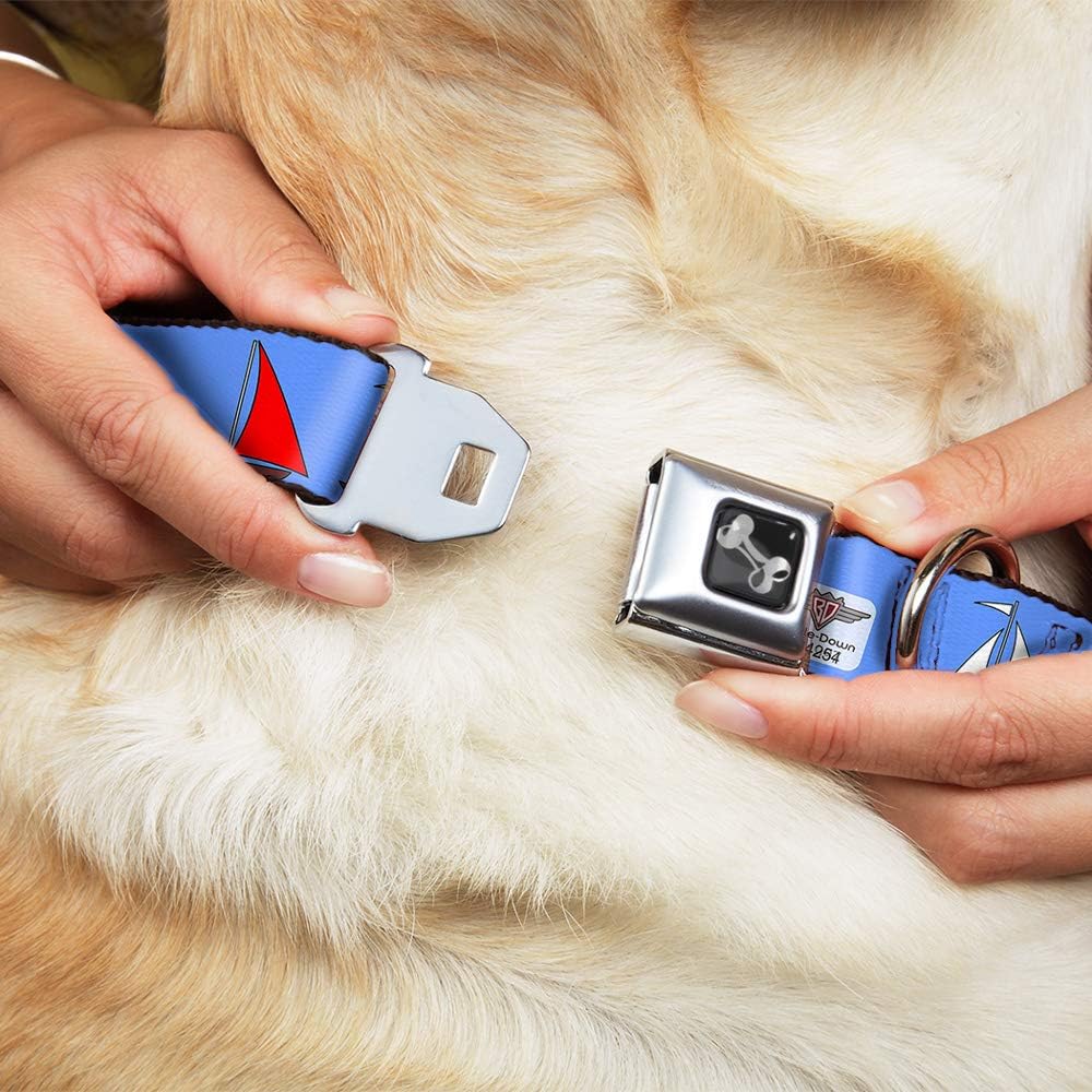 Buckle-Down Dog Collar Seatbelt Buckle Sailboats Blue, Multicolor, 1" Wide - Fits 15-26" Neck - Large (DC-W31997-L)