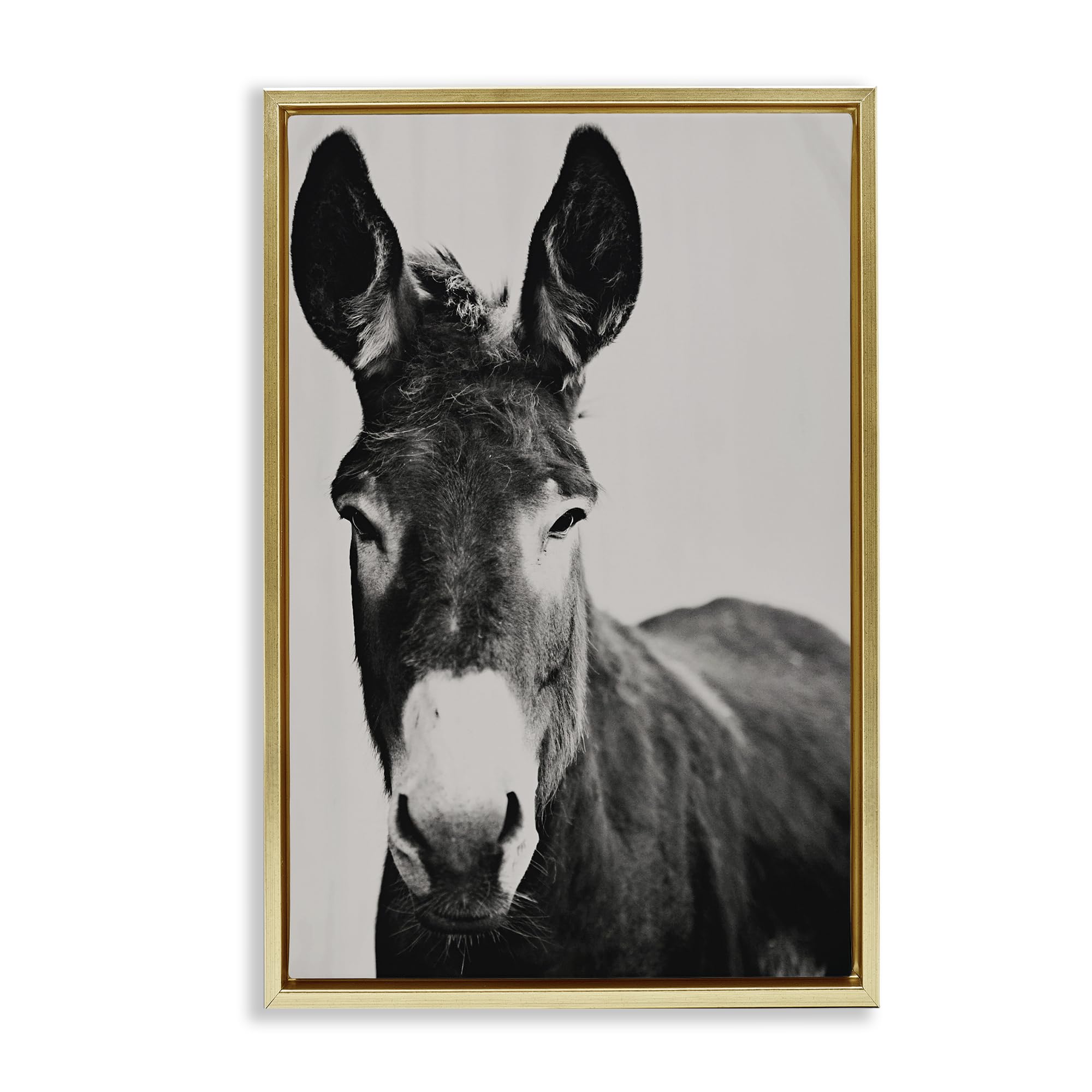 Stupell Industries 'Franz the Donkey Portrait', Floating Frame Canvas Art, Gold, 21 x 31 Inches, Easy to Hang and Sturdy, Made in USA, by Amy Carroll